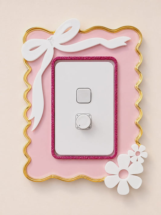 Light Switch Cover/surrounding