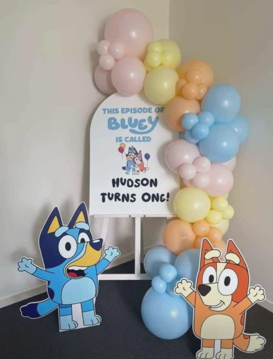Signage & Balloon Garland theme package