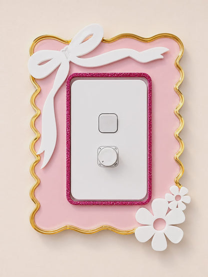 Light Switch Cover/surrounding