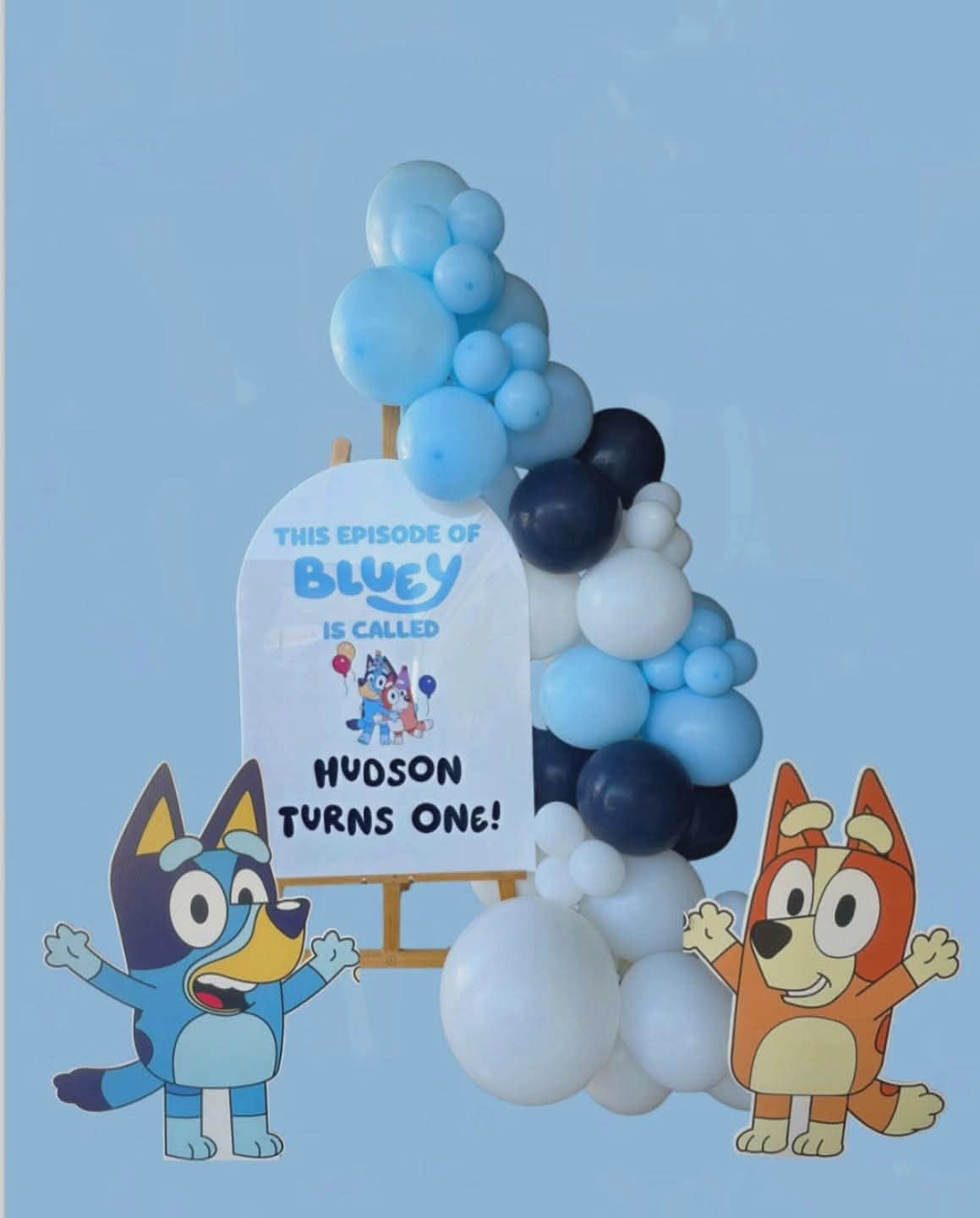 Signage & Balloon Garland theme package