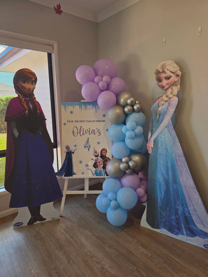 Signage & Balloon Garland theme package